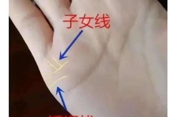 背上有掌纹之命运：解读肢体语言中的秘密