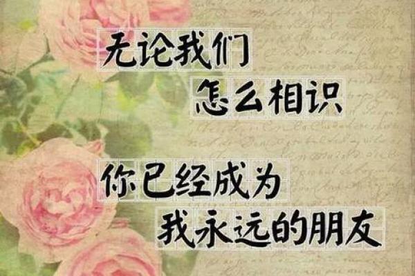 53年腊月出生的人命运解析：独特的个性与人生道路