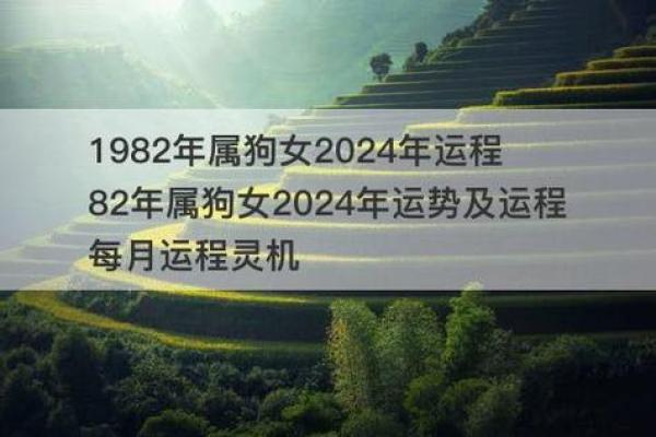 揭秘1982年属狗人的命运与个性特征之旅