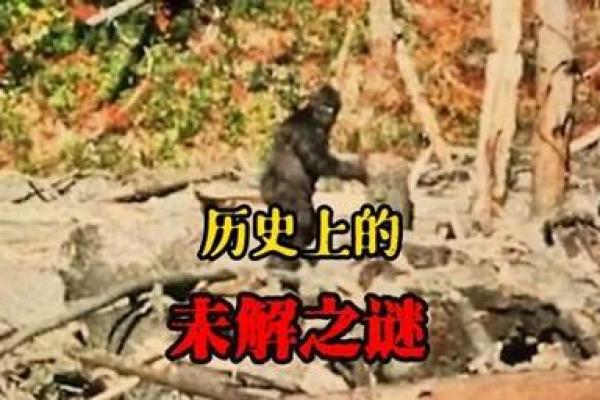 探秘童子命：命运与死亡的神秘时间之谜