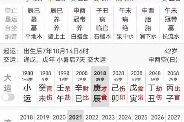 命宫辛巳：探秘辛巳命格的性格与命运