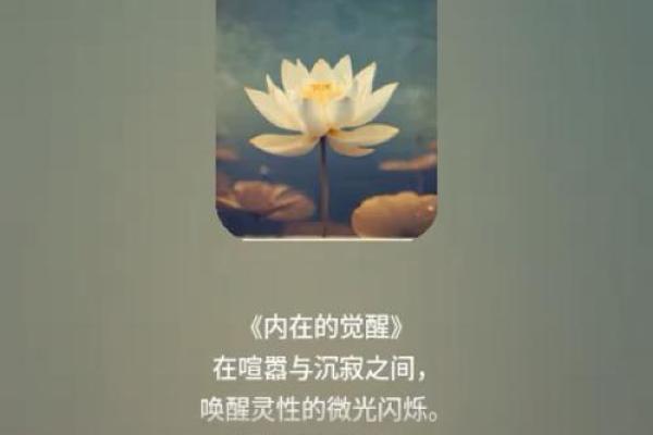适合修道的人命格解析：平和内心与灵性觉醒的指引
