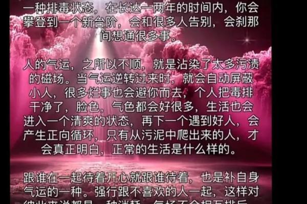 木命家庭装饰与摆放之道：打造和谐气场的艺术