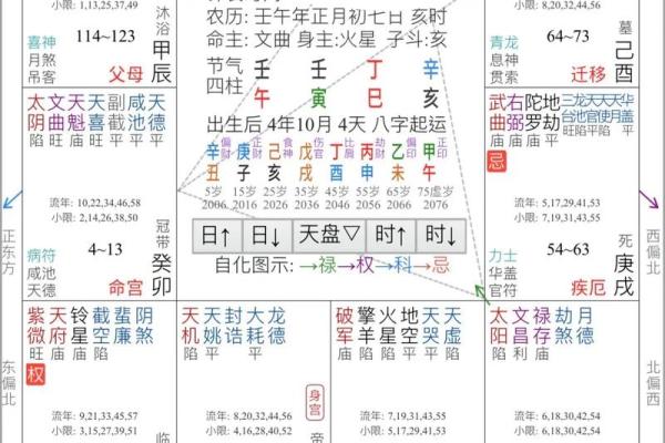 2017年出生的宝宝命格解析：他们的命运与性格特点