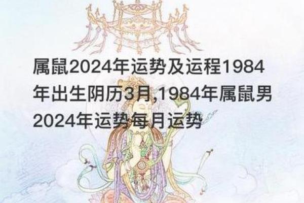 2024年属老鼠宝宝的命运解析：运势、性格与发展机会