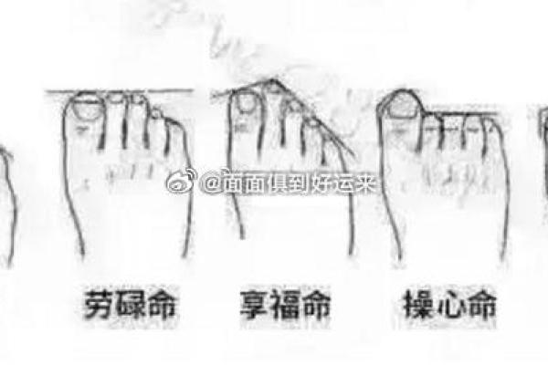 探索不同脚型与命运的奥秘：让我们一起揭开脚的秘密！