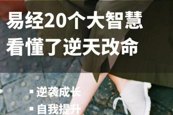 命理学宝典：推荐几本必备书籍，助你领悟人生奥秘！
