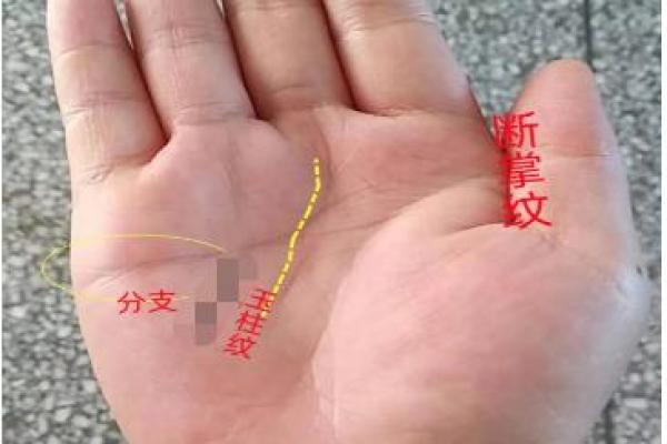 解析断掌纹：揭开女性命运之谜的手相奥秘