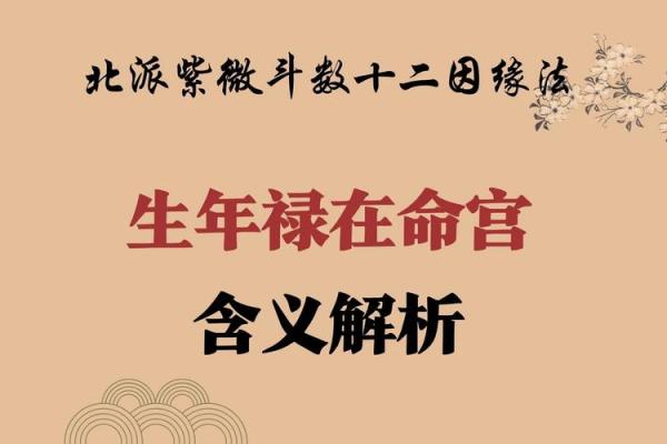 1999年8月出生的命运特征与解析