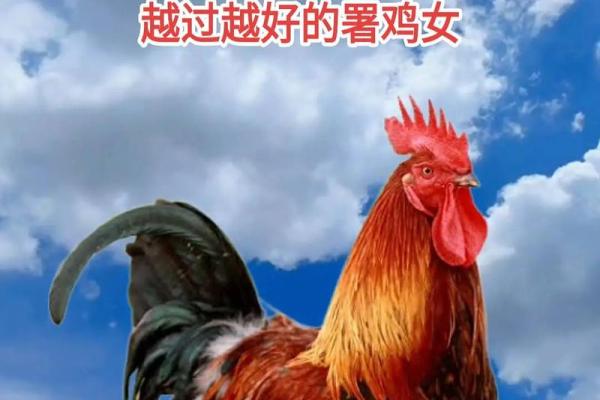 2018年鸡命解析：深度剖析生肖与命理的完美结合
