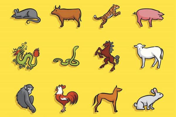 2018年鸡命解析：深度剖析生肖与命理的完美结合