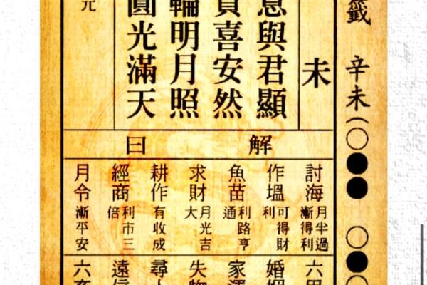 2023兔年的命格解析：揭示运势与性格的奥秘