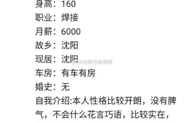 93年是什么颜色命：解密出生年份的色彩之旅