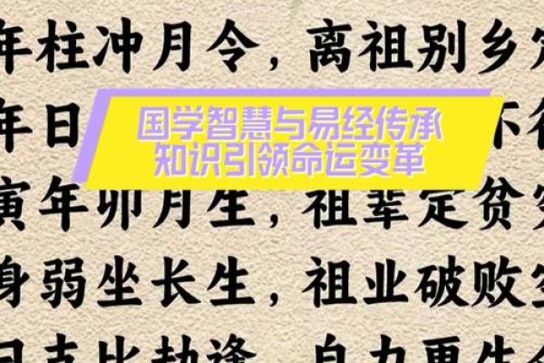 31岁生人命格解析：洞悉命运的智慧与机会