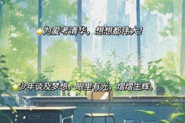1993年出生的人命配偶解析：遇见真爱的秘密与建议