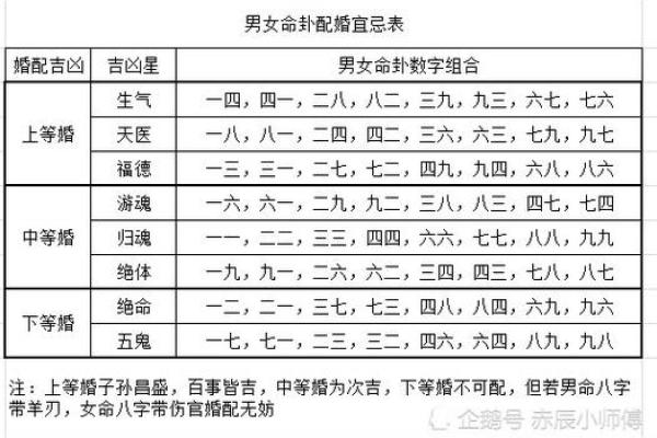 揭开土命的奥秘：深入了解12种土命的特征与运用