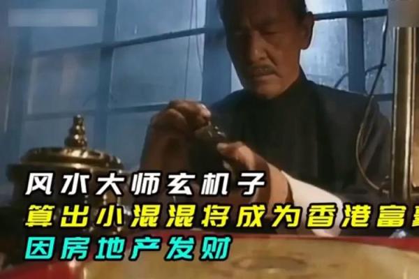 风水命数6的命理解析：探秘生命的奥秘与幸福之路