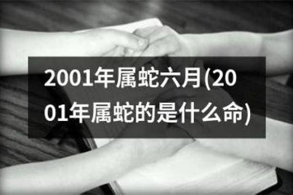 细说2013年属蛇的命运与性格特点