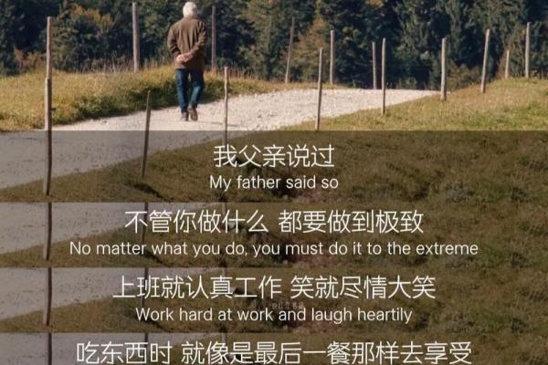 戊寅年的命理解析：探索你的性格与人生道路