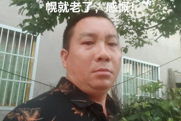 探秘1964年出生的龙命：事业、性格与命运的全方位解析
