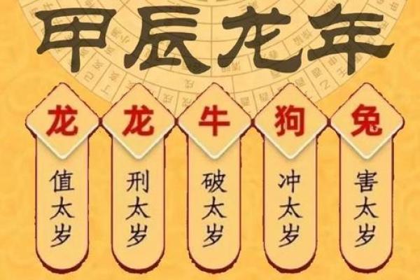 癸巳命之人的运势解析：如何抓住幸运的契机？