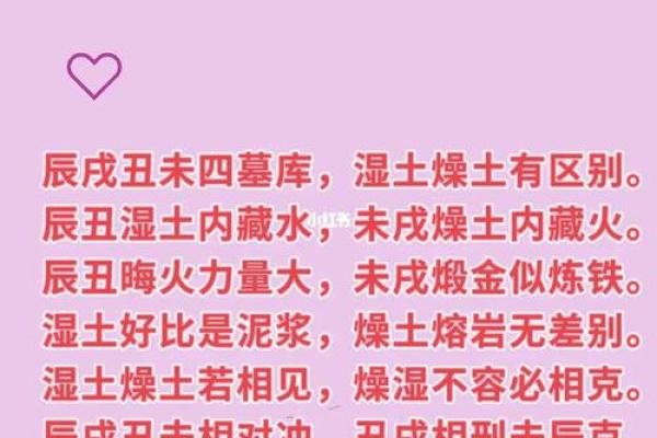 2017年戌年狗的命运解析：性格、职业和财富运势详解