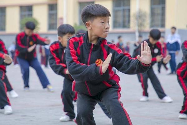 《真命传人》：探索文化与武术交汇的传奇之旅