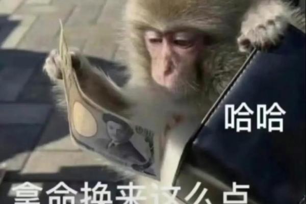 19901029出生的马命与命运的奥秘探讨