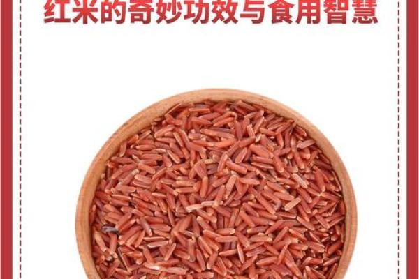 从女命星看女性的命理治理之道：智慧与魅力的结合