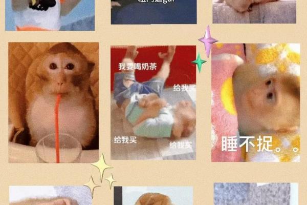 19901029出生的马命与命运的奥秘探讨