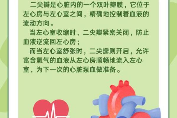 属猪命里缺什么？探索与补充心灵的奥秘