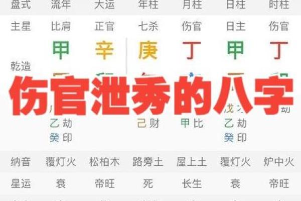 晚上11点出生的虎命揭秘：神秘、特质与命运分析