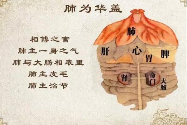 带华盖的人命运解析：揭开华盖命的神秘面纱