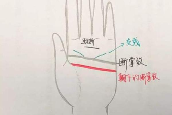 断掌纹命运解读：揭开你的命运密码之谜