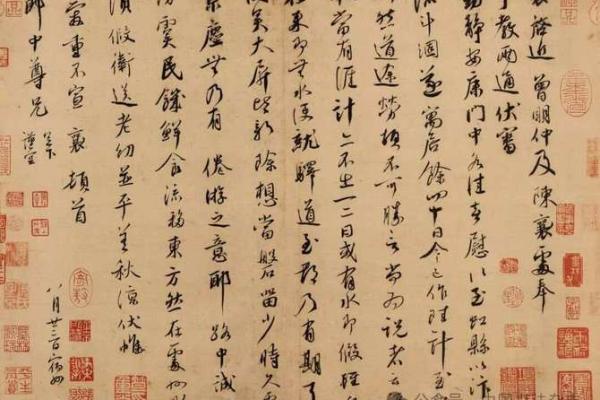 透比肩女命解析：洞悉性格与人生的独特密码