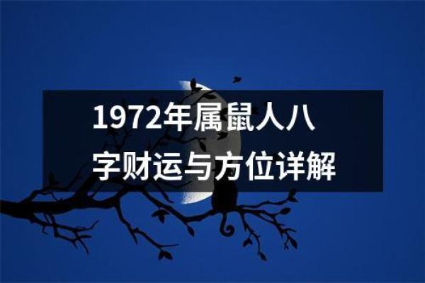 2020鼠年金命运：揭示你的命理密码与生活运势