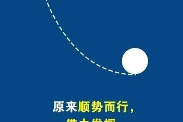 属猪火命的人缺乏的五大元素与提升运势的方法