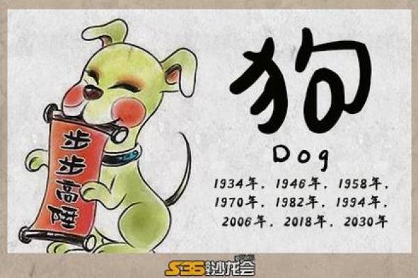 2008年狗年命理解析：你的狗年命里藏着哪些秘密？