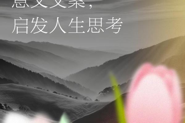 探寻生命的意义：从命运到自我实现的旅程