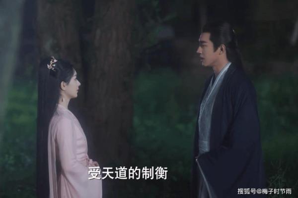《九命刑警老头：无畏决心与智慧并存的传奇警探》