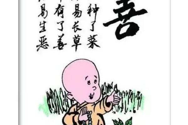 深入探讨鼠年命格：看你是否为“福鼠”之人！
