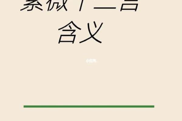 紫薇命男人的魅力与个性：揭开神秘面纱的魅力旅程
