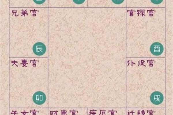 紫薇命男人的魅力与个性：揭开神秘面纱的魅力旅程