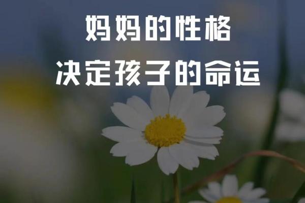2000金龙女命运解析：她们的性格、事业与爱情