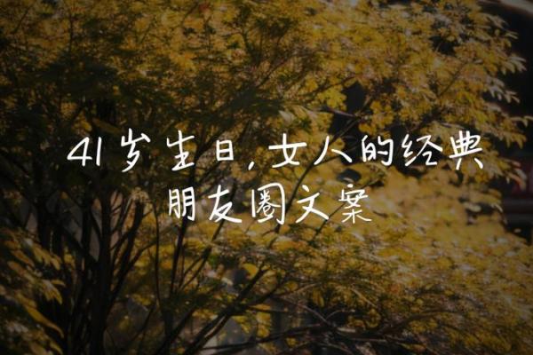 如何在40岁生日之际，拥抱生命的新篇章与自我蜕变