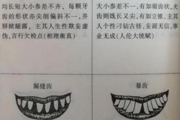 惜命的男人：追求生活品质的独特性格分析