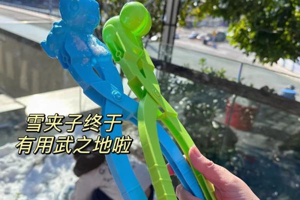 宝宝出生于大雪天，命理解析与成长启示