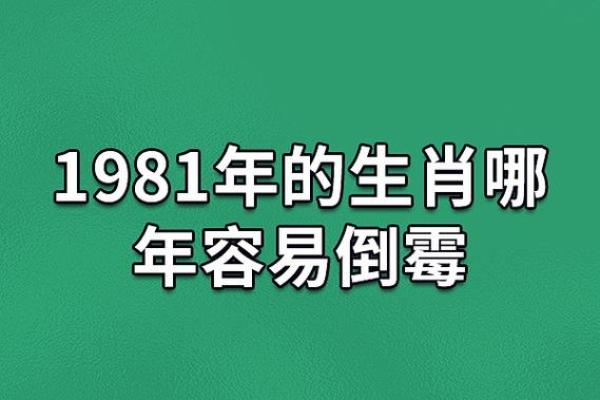 1969年出生的鸡年人：命运与性格的深刻解析