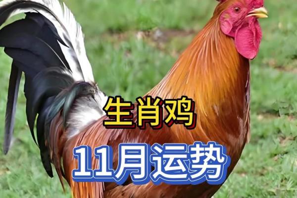 属鸡农历冬月出生的女性命理解析与运势指南