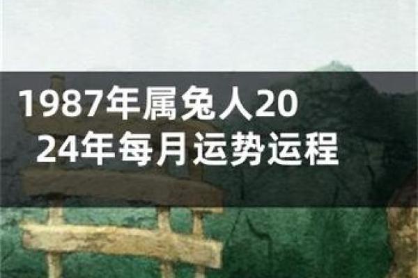 1987年属兔男命解析：性格特点与命理解析